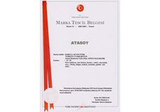 atasoy